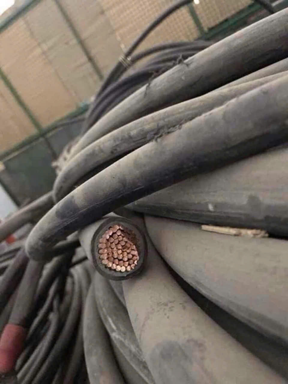 Cắt Mẫu Cân Tiểu Ly Đối Soát